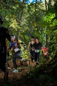 BIB: 1437, 100
                            <button type="button" onclick="openModal(19234154)" class="btn btn-primary btn-sm float-right btn-popup" data-toggle="modal" data-target=".modal-high-quality">
                        <i class="fas fa-shopping-cart"></i> Add to Cart
                    </button>
                                            <button type="button" onclick="isThisMe(19234154, true)" class="btn btn-success btn-sm float-right btn-popup btn-isme hidden" data-toggle="tooltip" data-placement="bottom" title="นี่คือรูปของคุณใช่ไหม คลิกที่นี่เพื่อเอาเข้าอัลบั้ม">
                        <i class="fas fa-plus"></i> Add to album
                    </button>
                    <button type="button" onclick="isThisMe(19234154, false)" class="btn btn-warning btn-sm float-right btn-popup btn-isnotme hidden">
                        <i class="fas fa-ban"></i> Remove from album
                    </button>